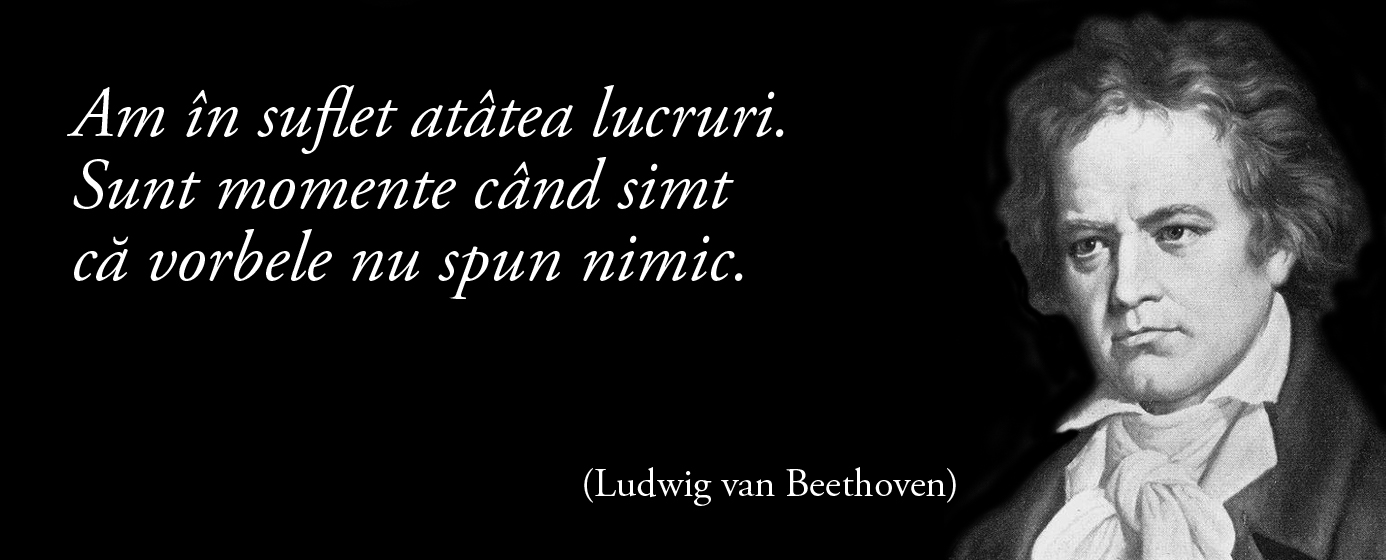 Am în suflet atâtea lucruri. Sunt momente când simt că vorbele nu spun nimic. – Ludwig van Beethoven