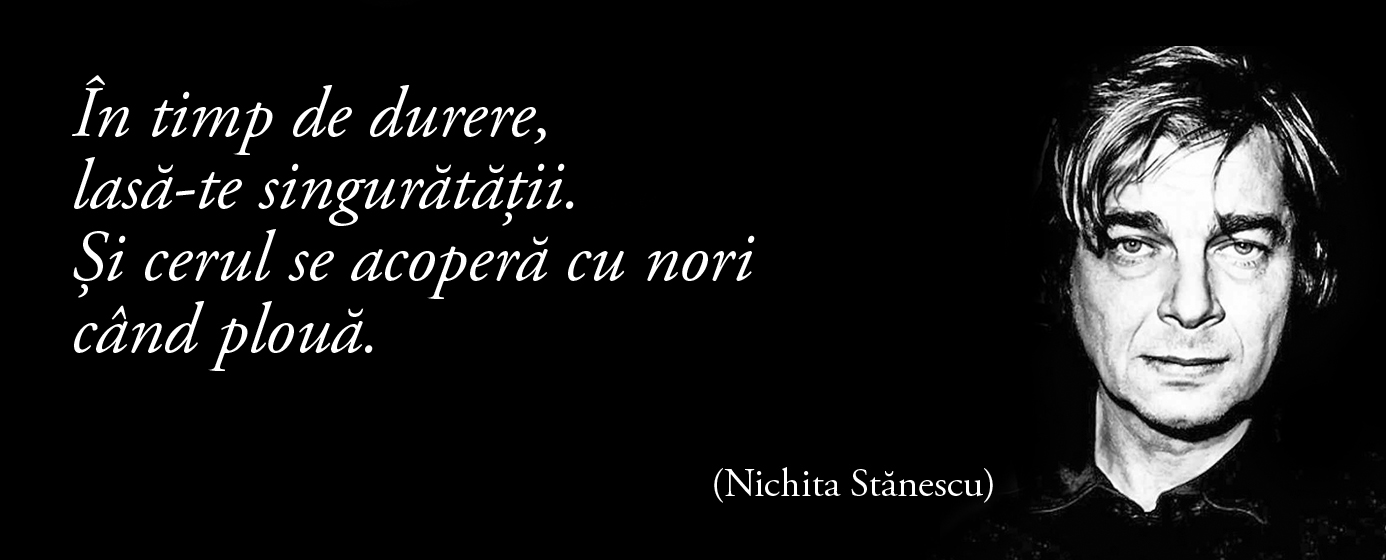 În timp de durere, lasă-te singurătății. Și cerul se acoperă cu nori când plouă. – Nichita Stănescu